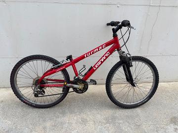 MTB Ruote 24”