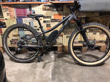 Mtb 24 Vitus