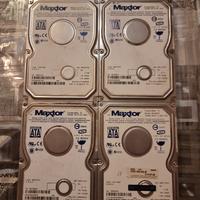 Lotto 4 Hard Disk Maxtor 3.5" SATA MAXTOR testati
