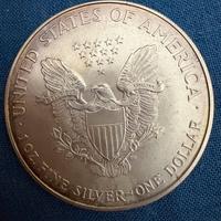 Moneta USA 2000 Argento Puro Aquila Americana