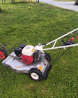 Falcia tutto OREC SH50C