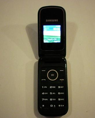 Telefono SAMSUNG GT-E1190 a conchiglia funzionante