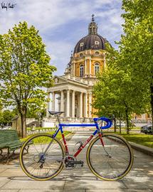 Gios Grande Torino (num 10 di 11)