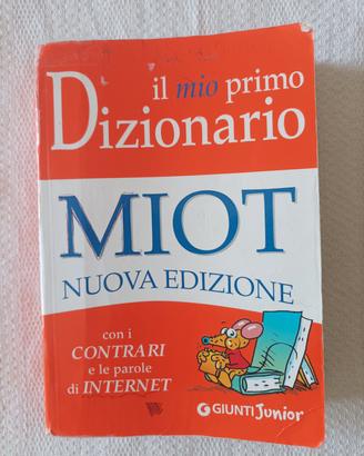 libro  dizionario elementari 