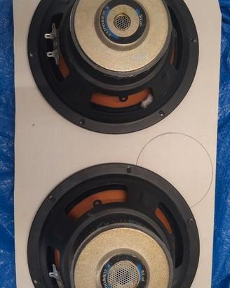 Subwoofer da 20 cm