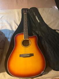 Chitarra acustica Jim Harley