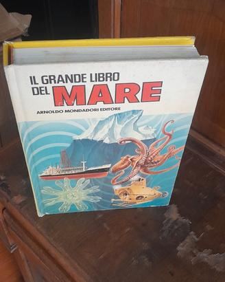 libri 