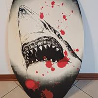 piccola tavola da surf skimboard