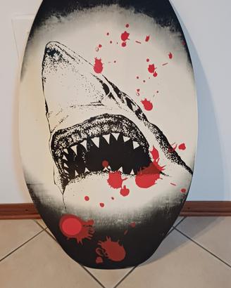 piccola tavola da surf skimboard