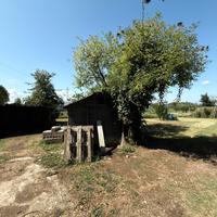 Terreno agricolo coltivato