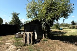 Terreno agricolo coltivato
