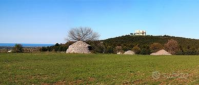 Terreno con Trullo in pietra e mandorleto
