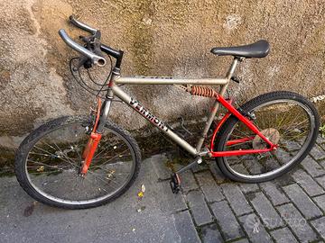 Mountan bike da revisionare