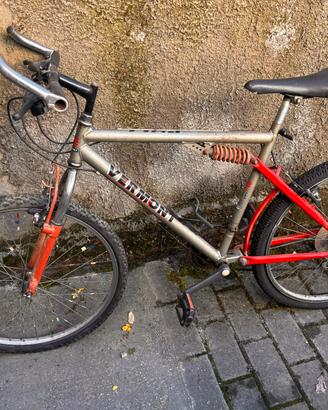 Mountan bike da revisionare