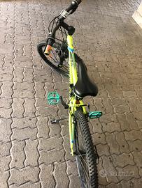 Bicicletta
