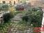 Immagine 25
