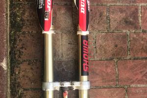 Avantreno Suzuki Rm 125