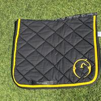 Sottosella Vestrum dressage