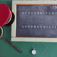 PICCOLA COLLEZIONE F.S.