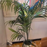 Pianta artificiale IKEA FEJKA modello Kentia 180cm