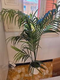 Pianta artificiale IKEA FEJKA modello Kentia 180cm