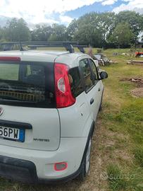 Fiat panda ibrida