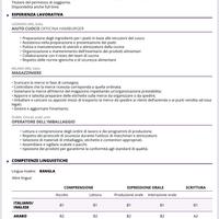 Aiuto cuoco,megazine,productione