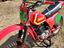 Immagine 1