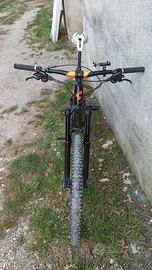 Mountain bike biammortizzata Cube