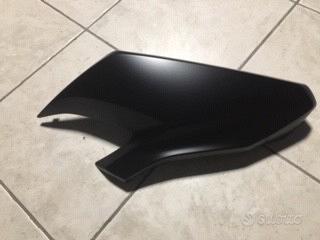 Carena kawasaki