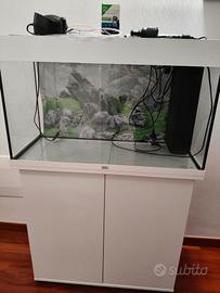 Acquario Jewel 125 Riox pesci caldo e freddo