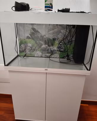 Acquario Jewel 125 Riox pesci caldo e freddo