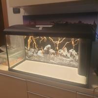 acquario 100litri 80x30x40