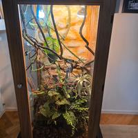 Terrario Professionale per Camaleonte Legno Rovere