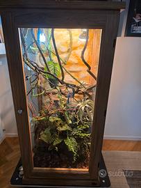 Terrario Professionale per Camaleonte Legno Rovere