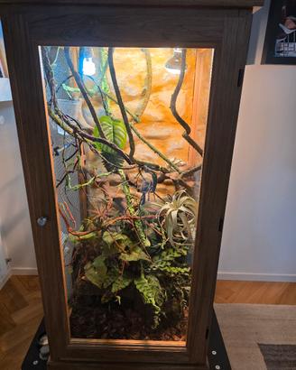Terrario Professionale per Camaleonte Legno Rovere