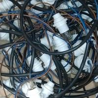 lampadine e portalampade E14