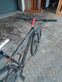 bicicletta MTB forcella rigida in carbonio