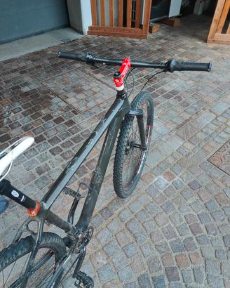 bicicletta MTB forcella rigida in carbonio