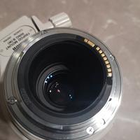 Canon EF 100-400mm f/4.5-5.6 L IS USM