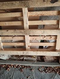 3 pallet in pino