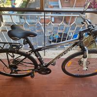 Mtb Scott sportster P55