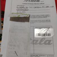 bici con pedalata assistita 