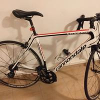 Cannondale Synapse
