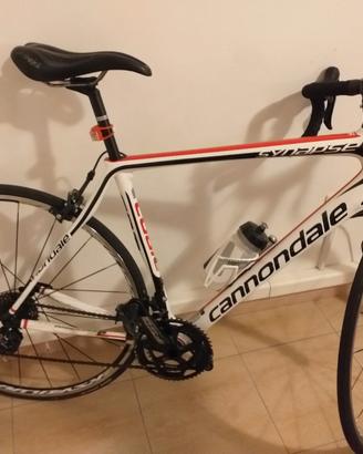 Cannondale Synapse