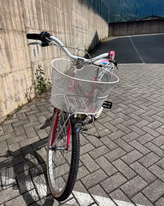 bicicletta da donna 