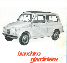 Fiat 500 giardiniera autobianchi