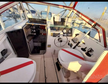 Baylainer tropy Fv 2352