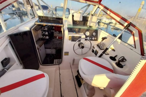 Baylainer tropy Fv 2352