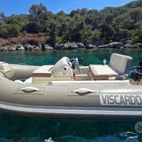 Tender viscardo 290 300 plus mercury 20cv 2025